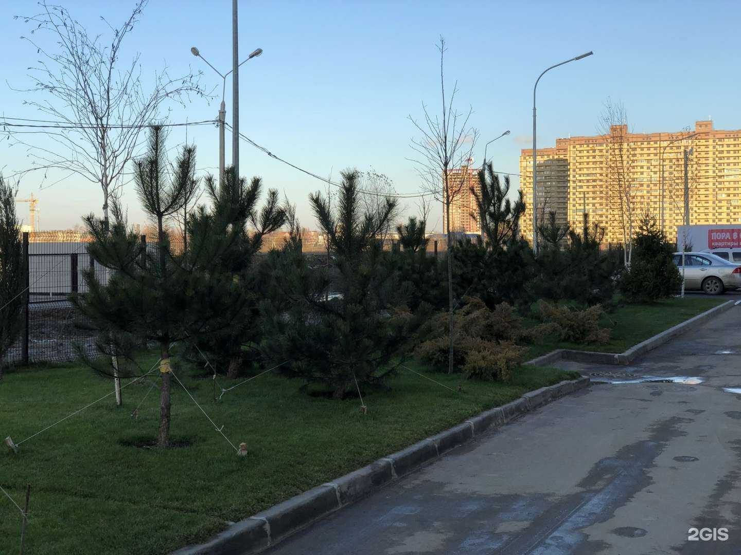 Отзывы на компанию Новая Сибирь в Краснодаре c фото - фотография 2 из 2