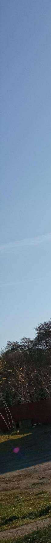 Отзывы на компанию Баня на дровах в Калининграде c фото