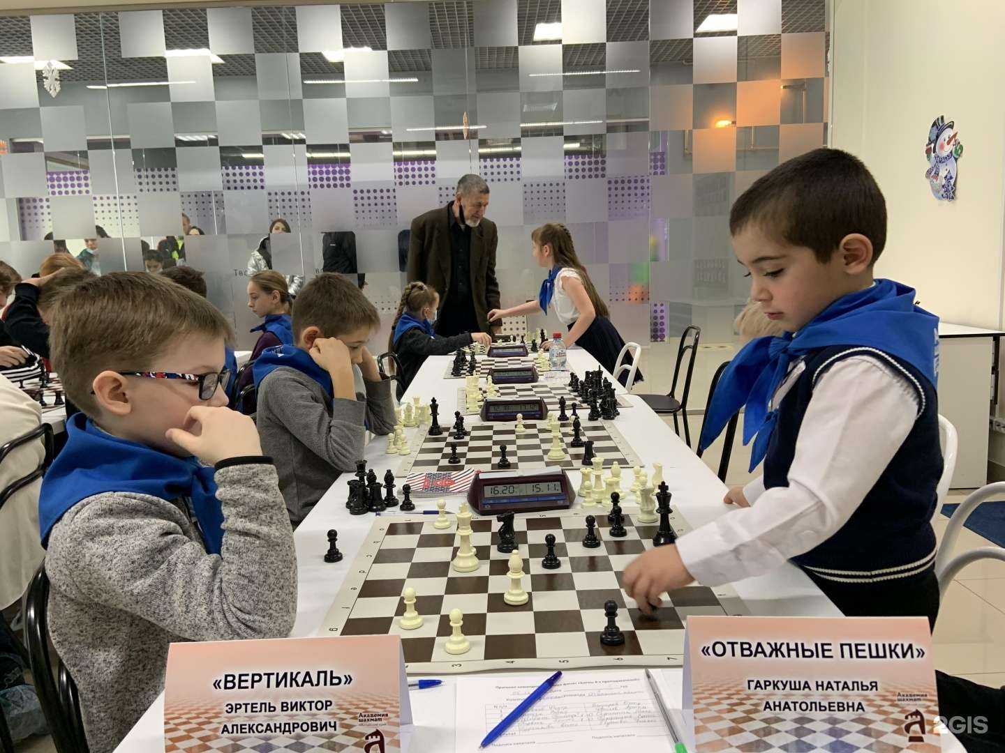 Отзывы на компанию Академия шахмат в г. Барнаул c фото
