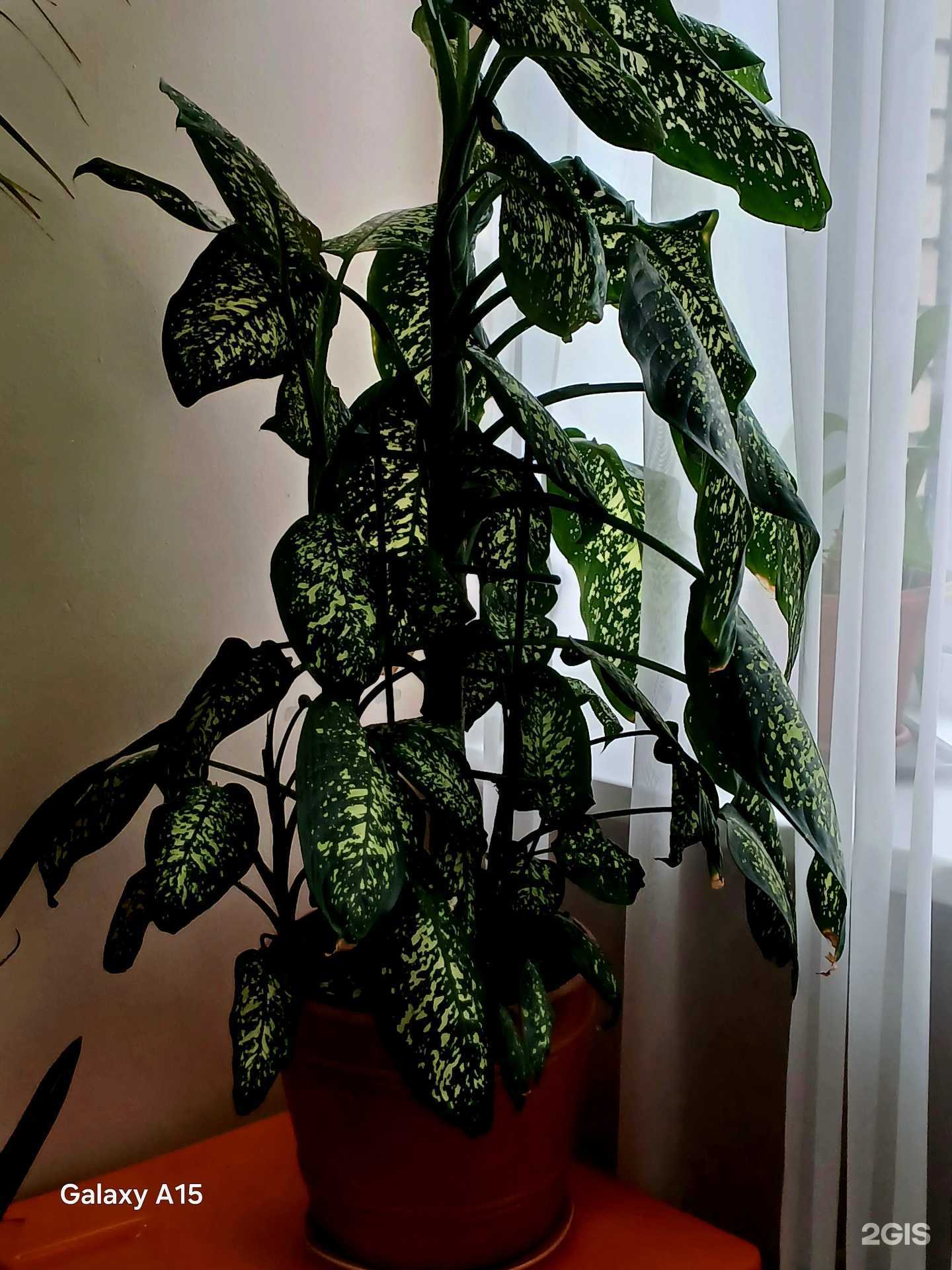 Отзывы на компанию Детская республиканская больница им. И.Н. Григовича в г. Петрозаводск c фото