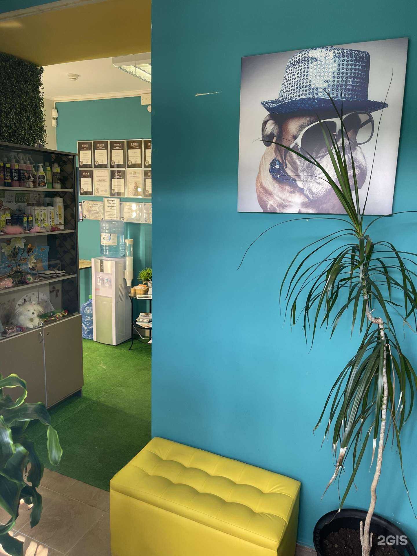 Отзывы на компанию Groomerkzn в г. Казань c фото