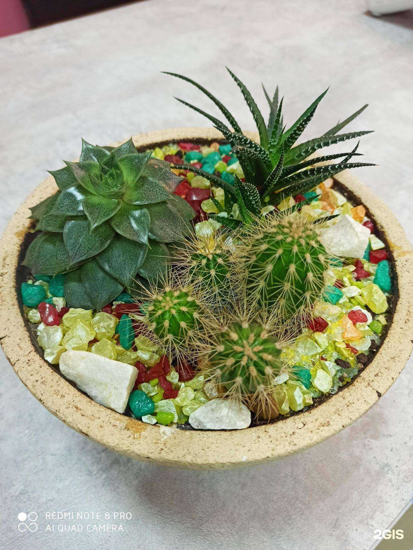 Отзывы на компанию Flora Style в Перми c фото