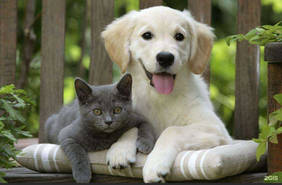 Отзывы на компанию Тюменская областная ветеринарная лаборатория в г. Тюмень c фото