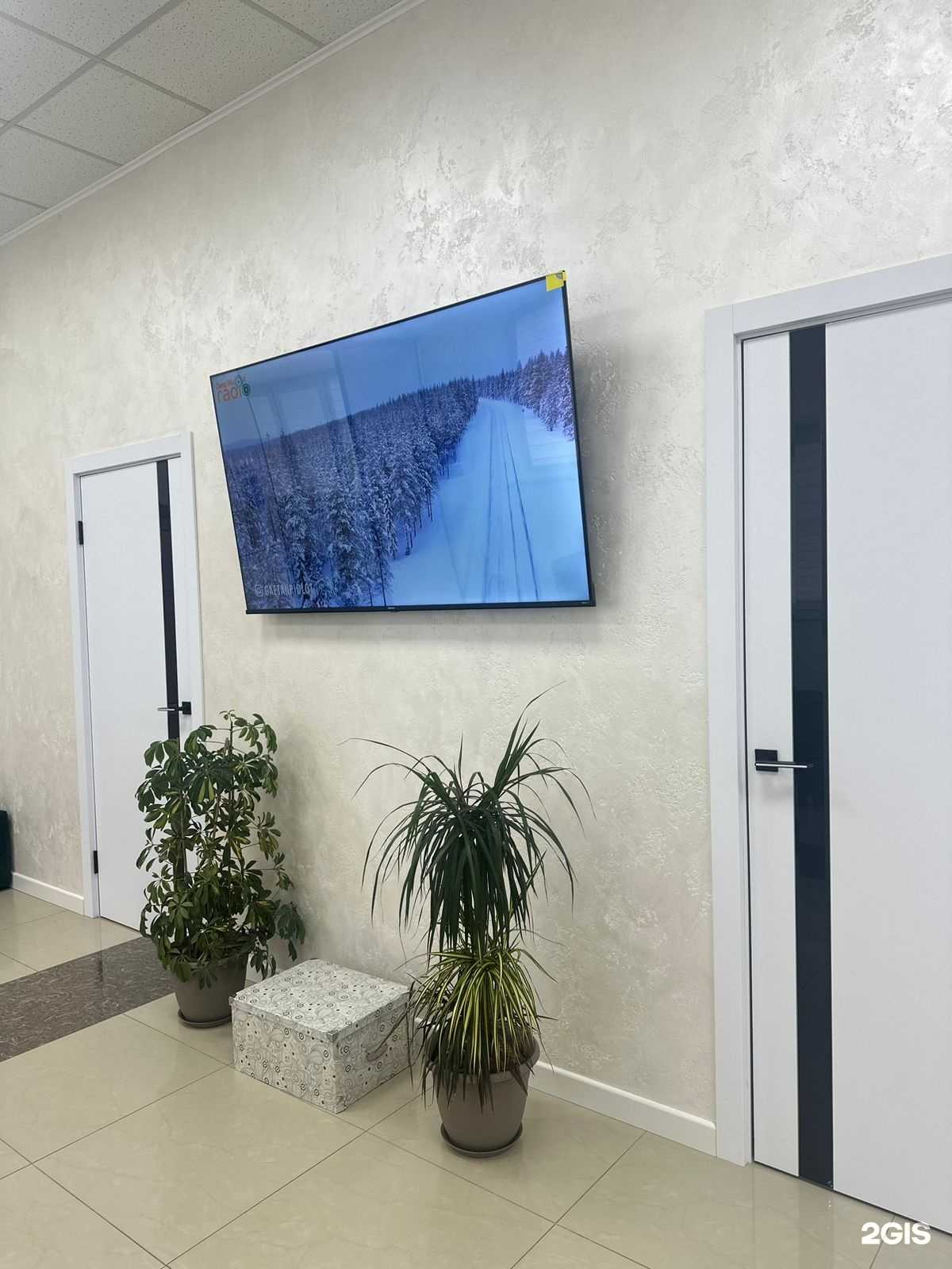 Отзывы на компанию Дентис клиник в Краснодаре c фото