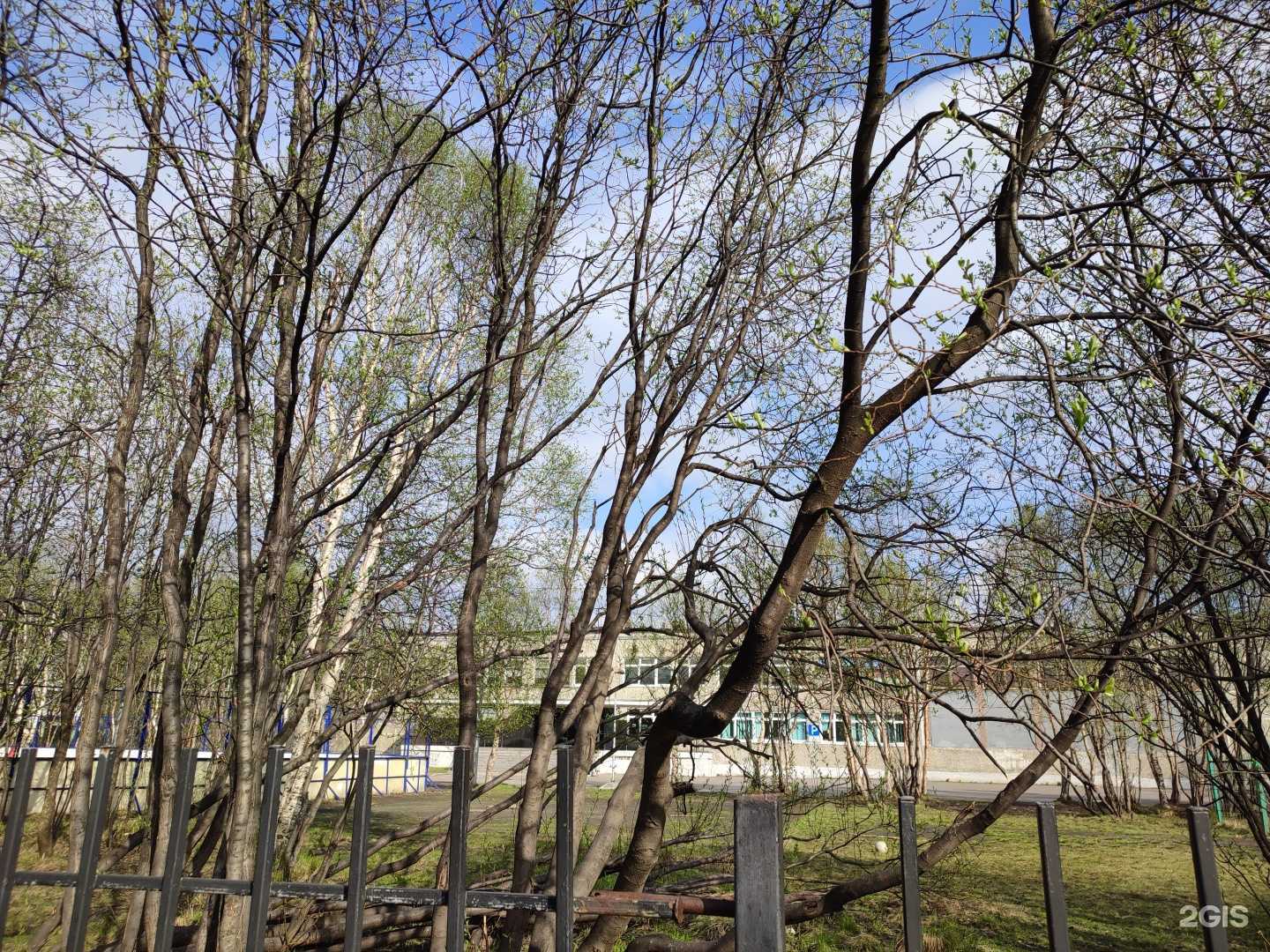 Отзывы на компанию ДЮСШ №4 в Мурманске c фото