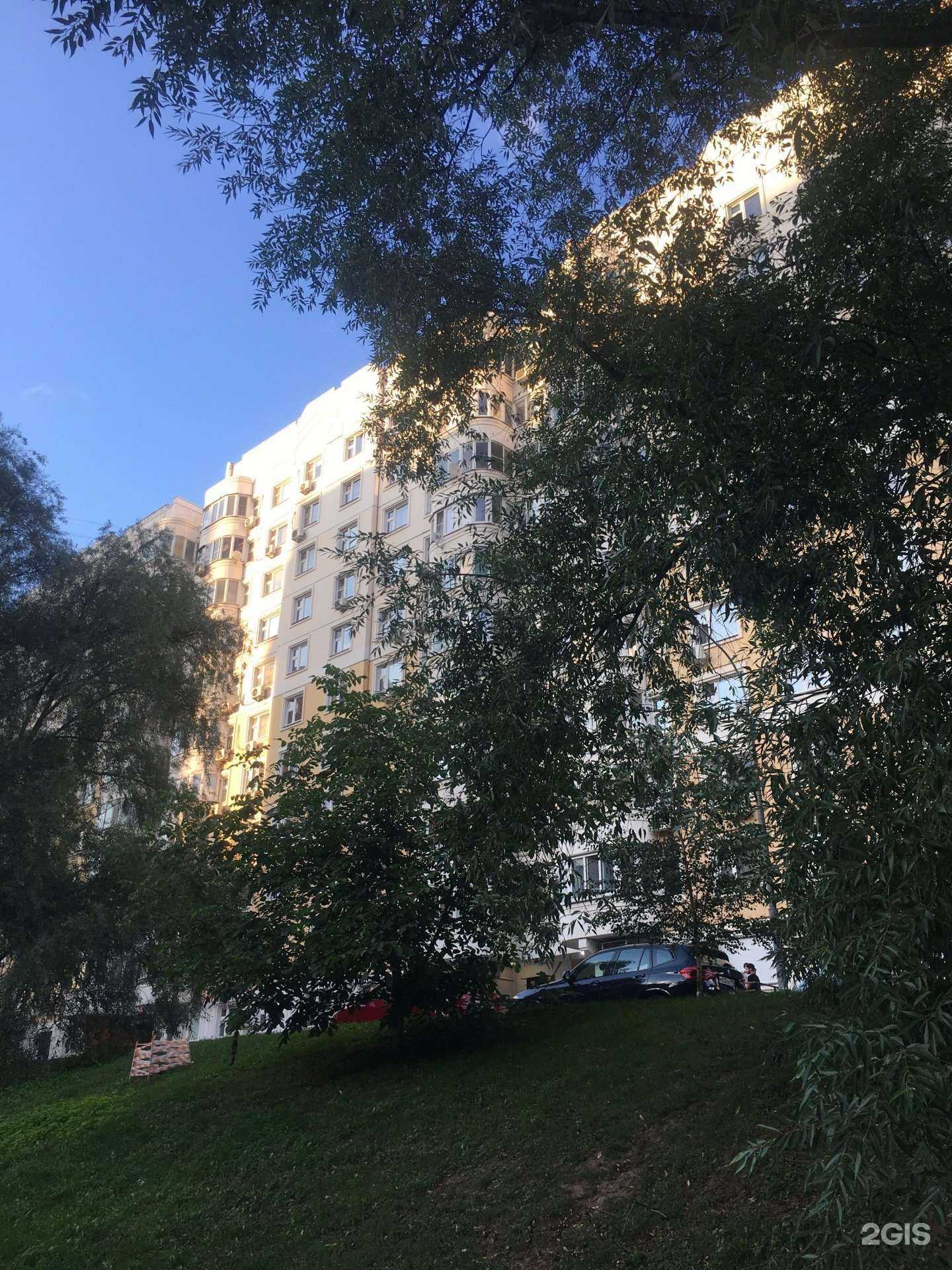 Отзывы на компанию Студио-Дент в Химках c фото - фотография 2 из 2