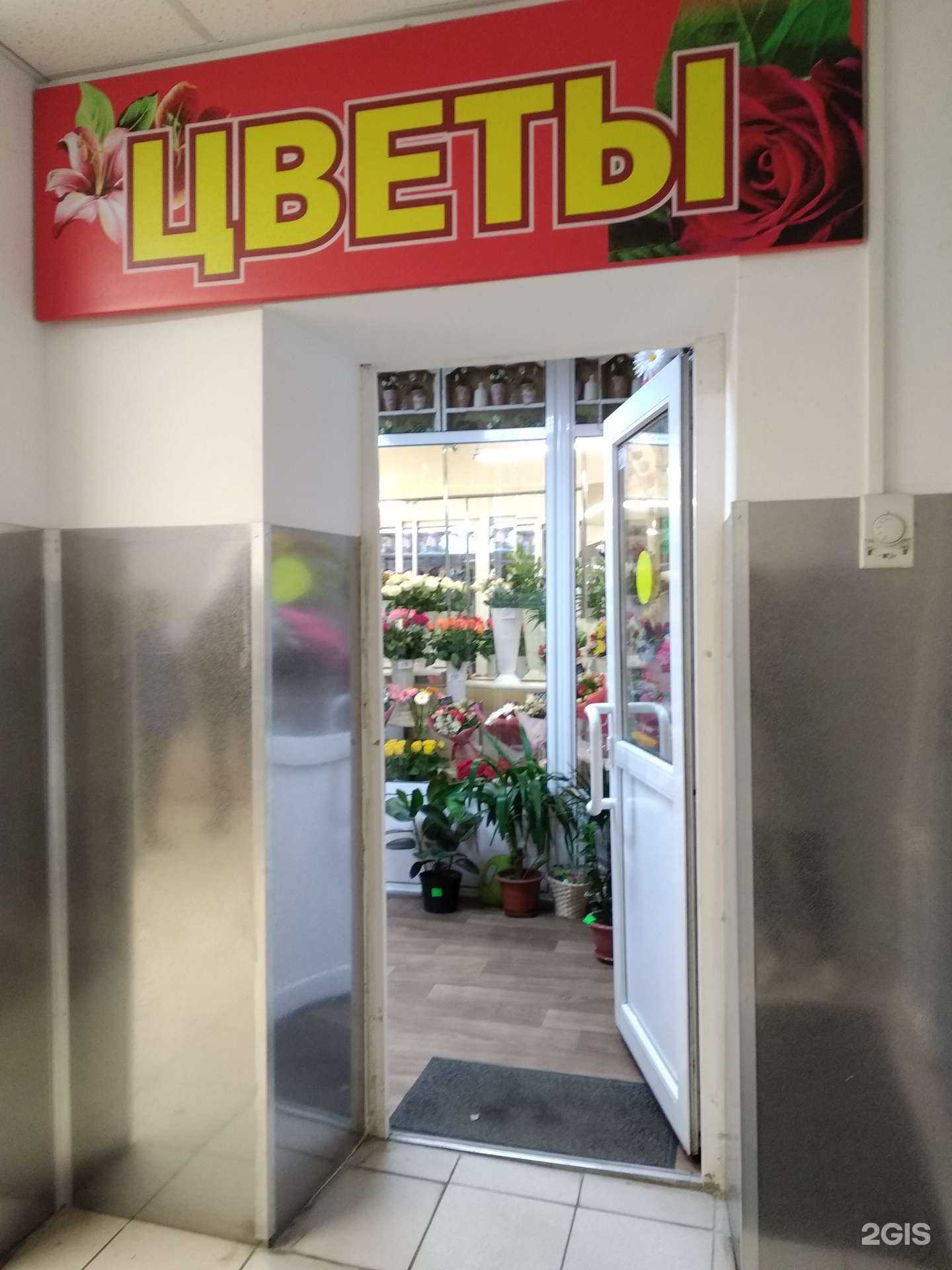 Отзывы на компанию FloExpress в г. Архангельск c фото