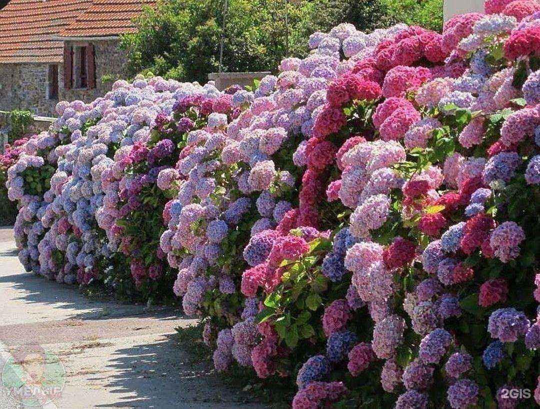 Отзывы на компанию Зиис в Нижнем Новгороде c фото - фотография 2 из 2