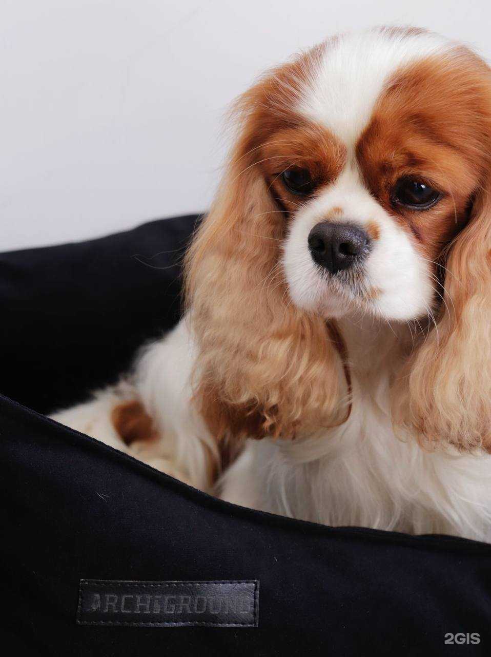 Отзывы на компанию Archiground в г. Томск c фото