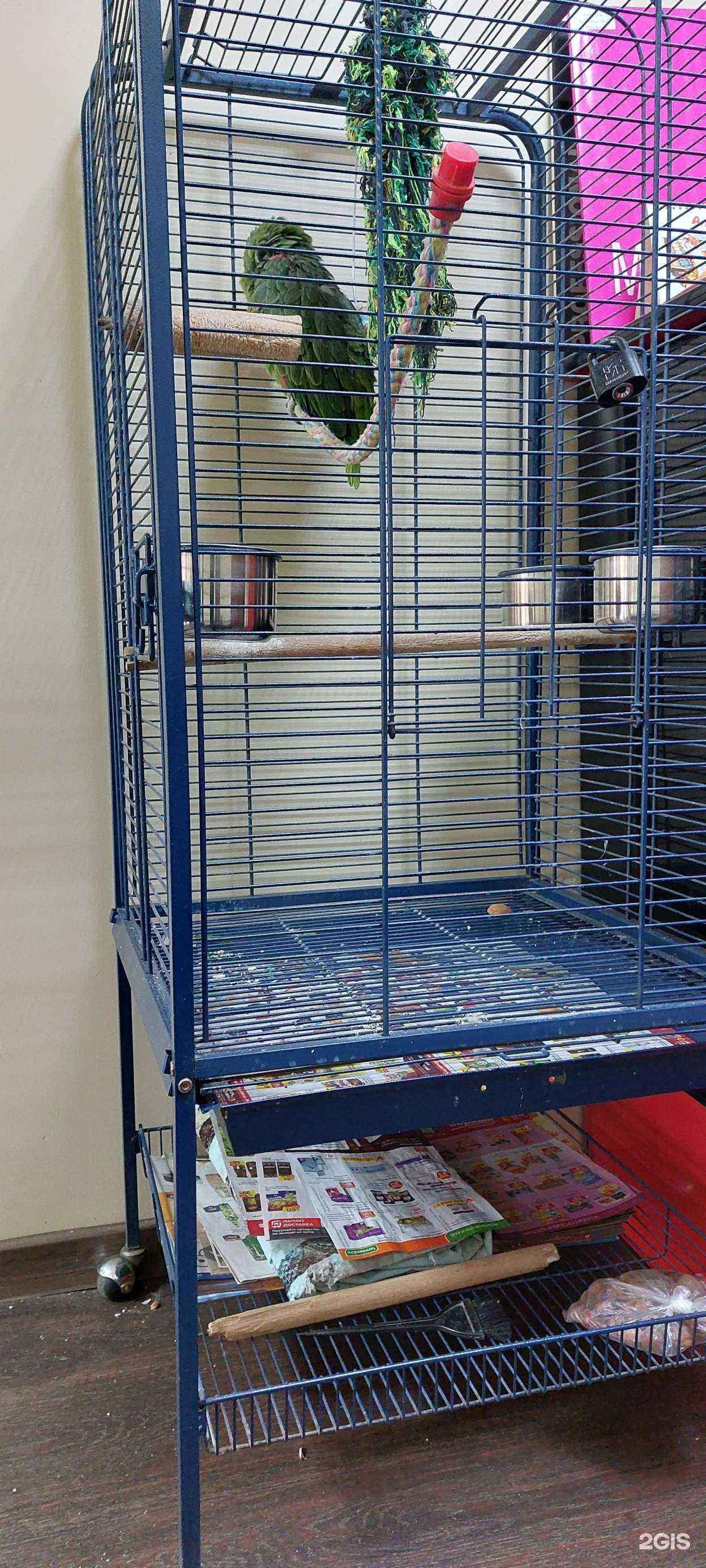 Отзывы на компанию Мария в Нижнем Тагиле c фото