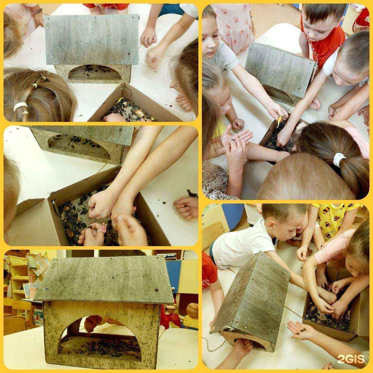 Отзывы на компанию Солнечные лучики в Кирове c фото