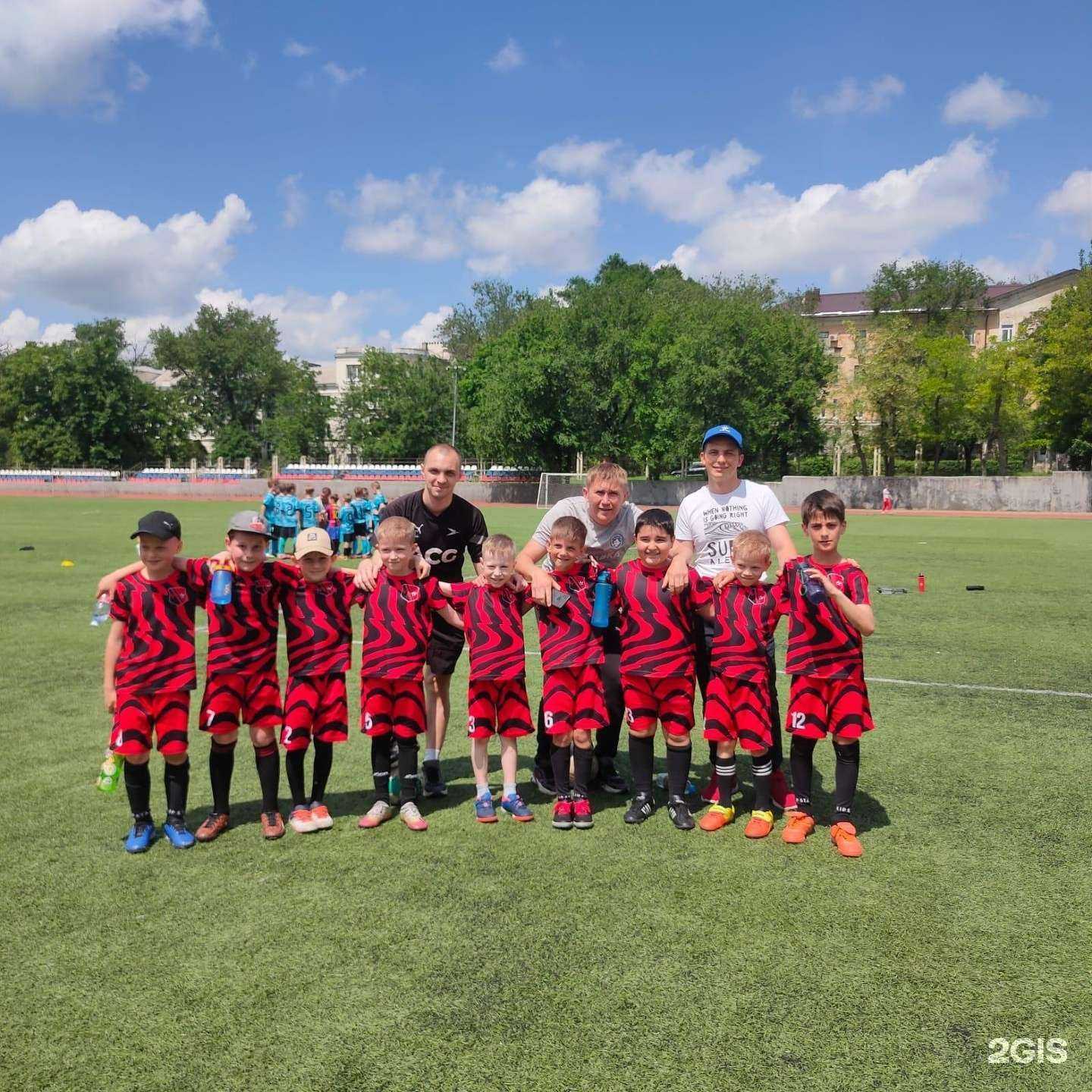 Отзывы на компанию Арена в г. Батайск c фото