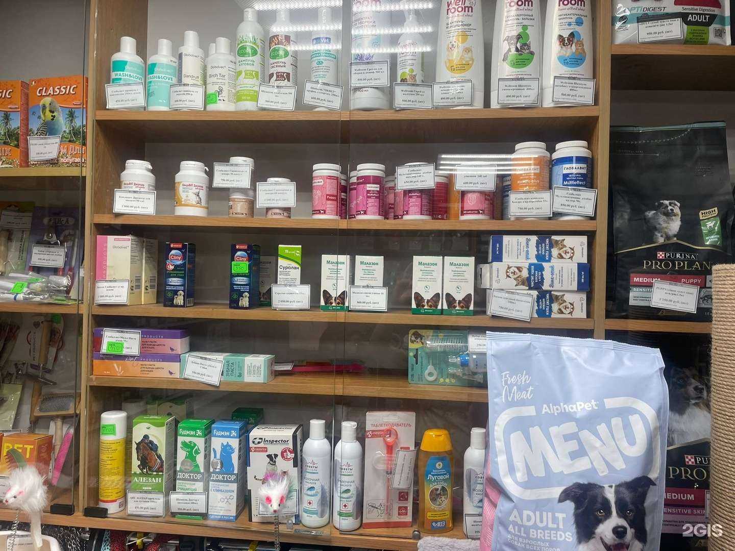 Отзывы на компанию Кот, пес и Ко в г. Междуреченск c фото