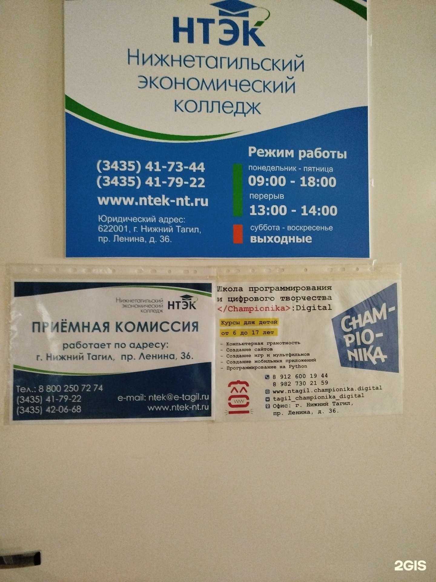 Отзывы на компанию Чемпионика digital в Нижнем Тагиле c фото