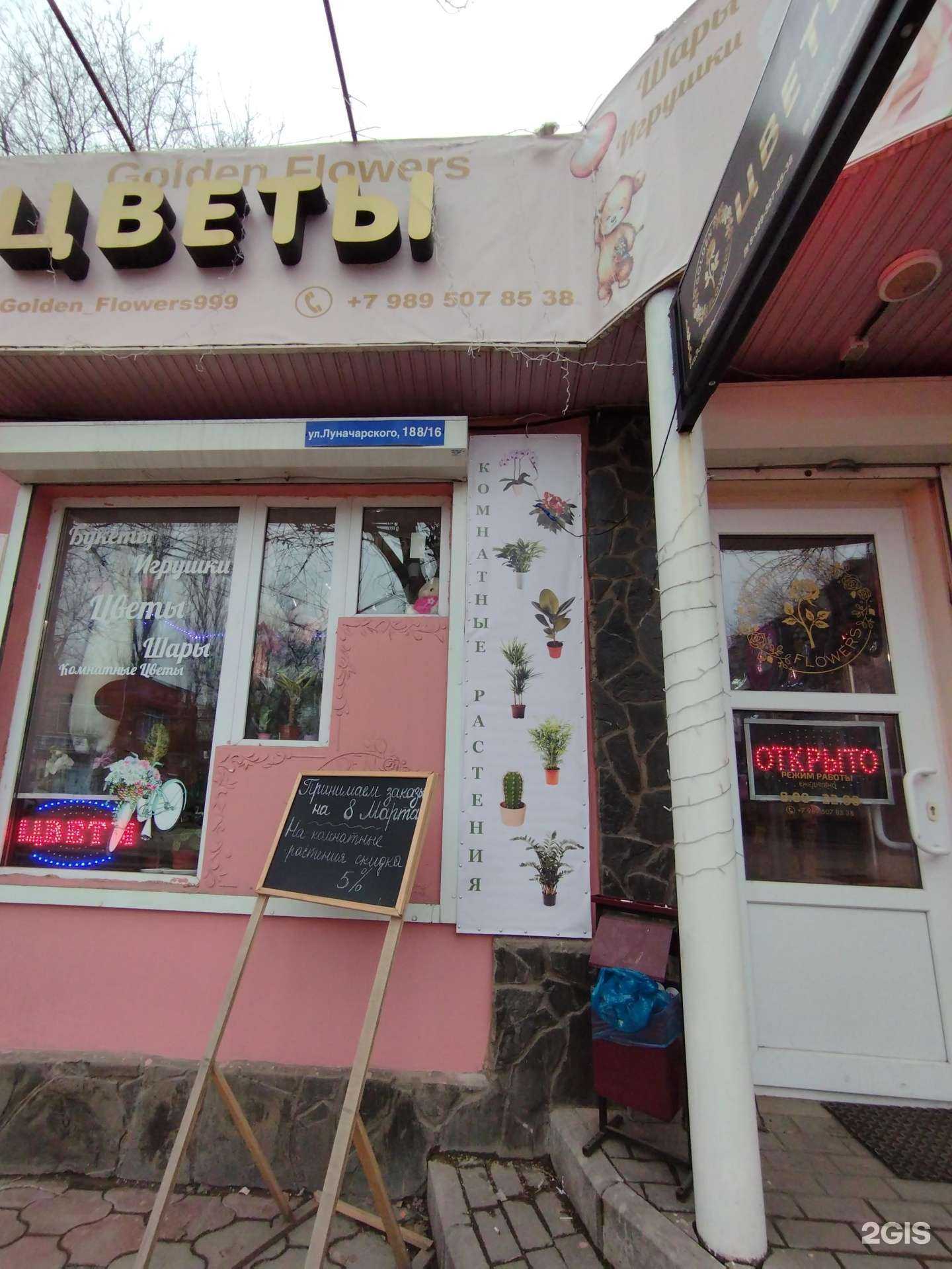 Отзывы на компанию Golden_flowers в Батайске c фото