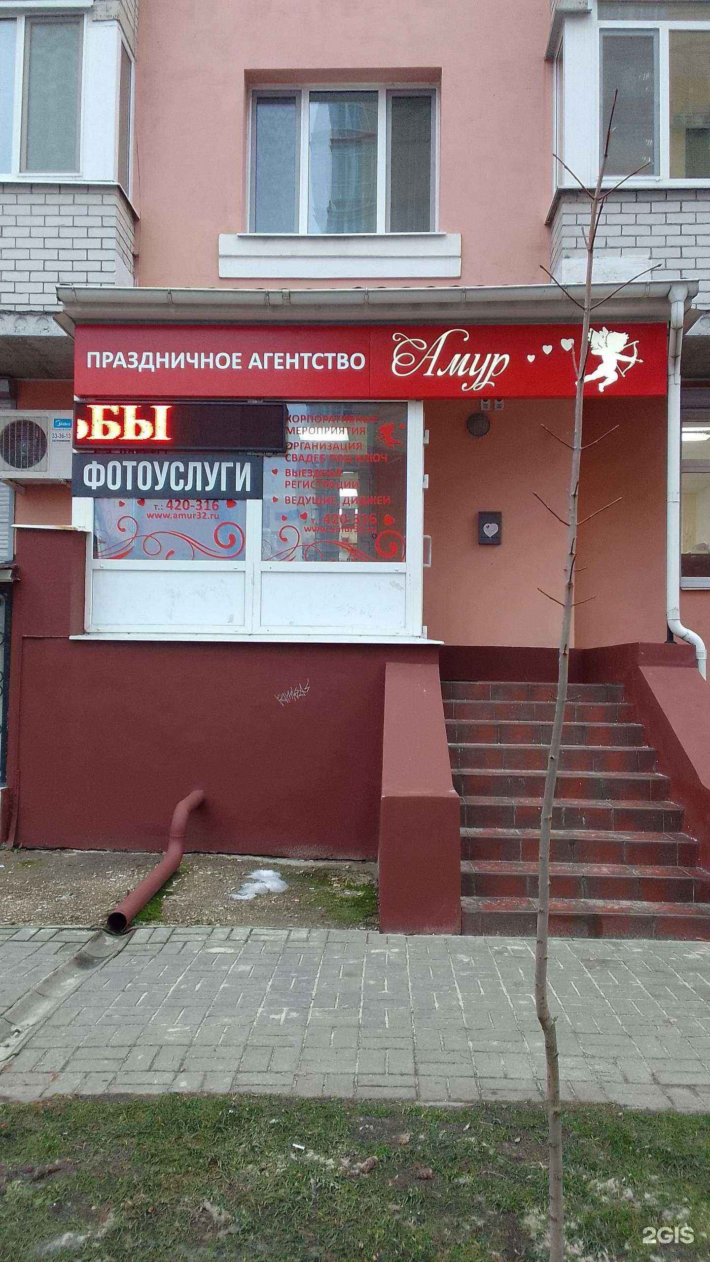 Отзывы на компанию Вилли кот в г. Брянск c фото