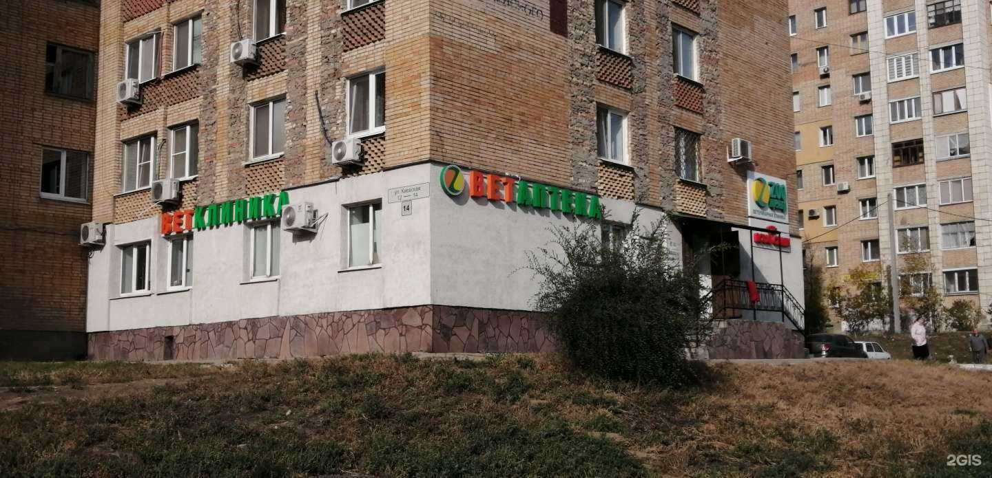 Отзывы на компанию Zoo центр в г. Самара c фото