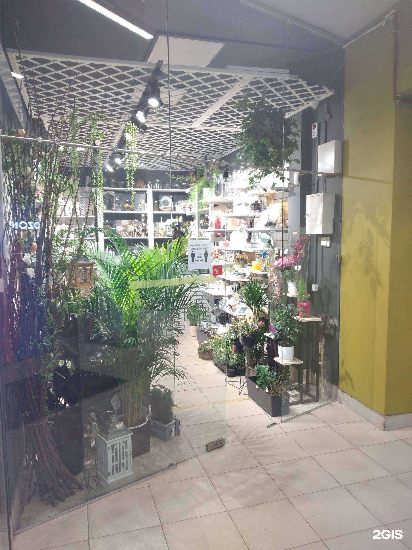 Отзывы на компанию Протея в Калининграде c фото