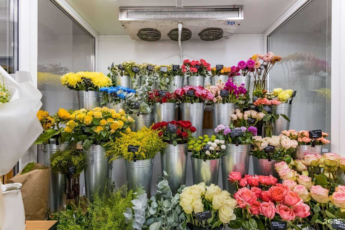 Отзывы на компанию Жизнь Цветка в Балашихе c фото