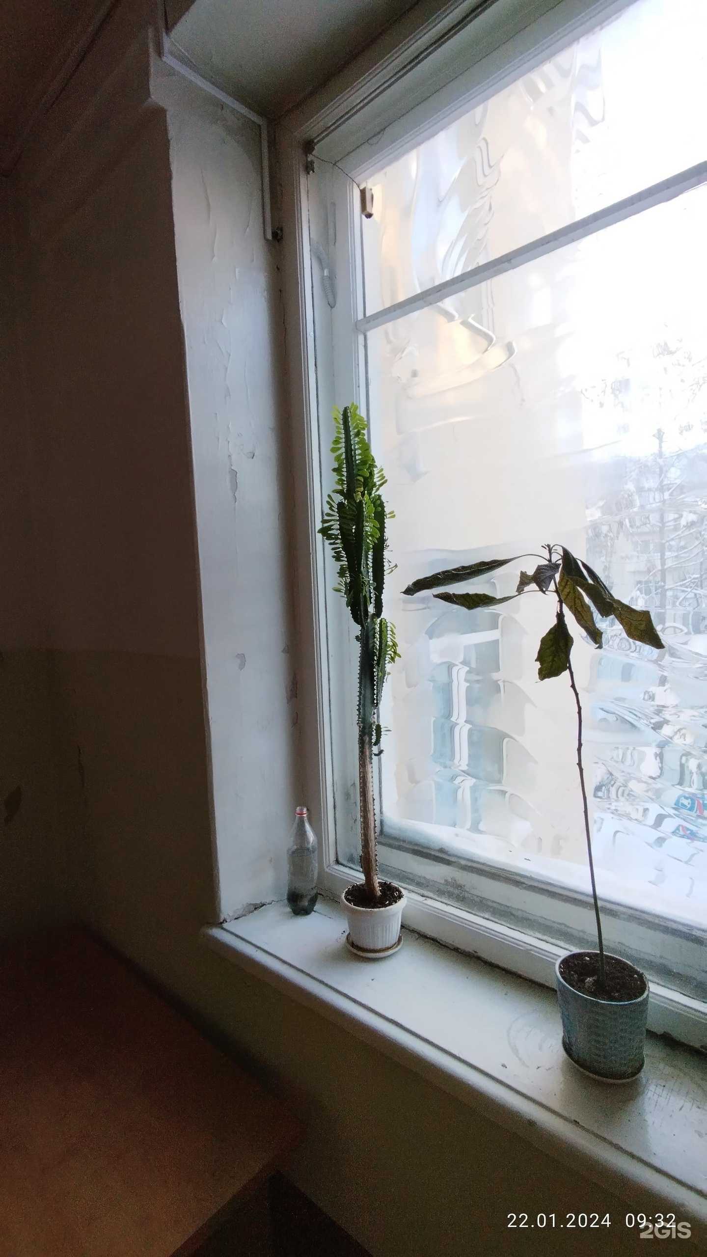 Отзывы на компанию Юридическая фирма в Йошкар-Оле c фото - фотография 2 из 2