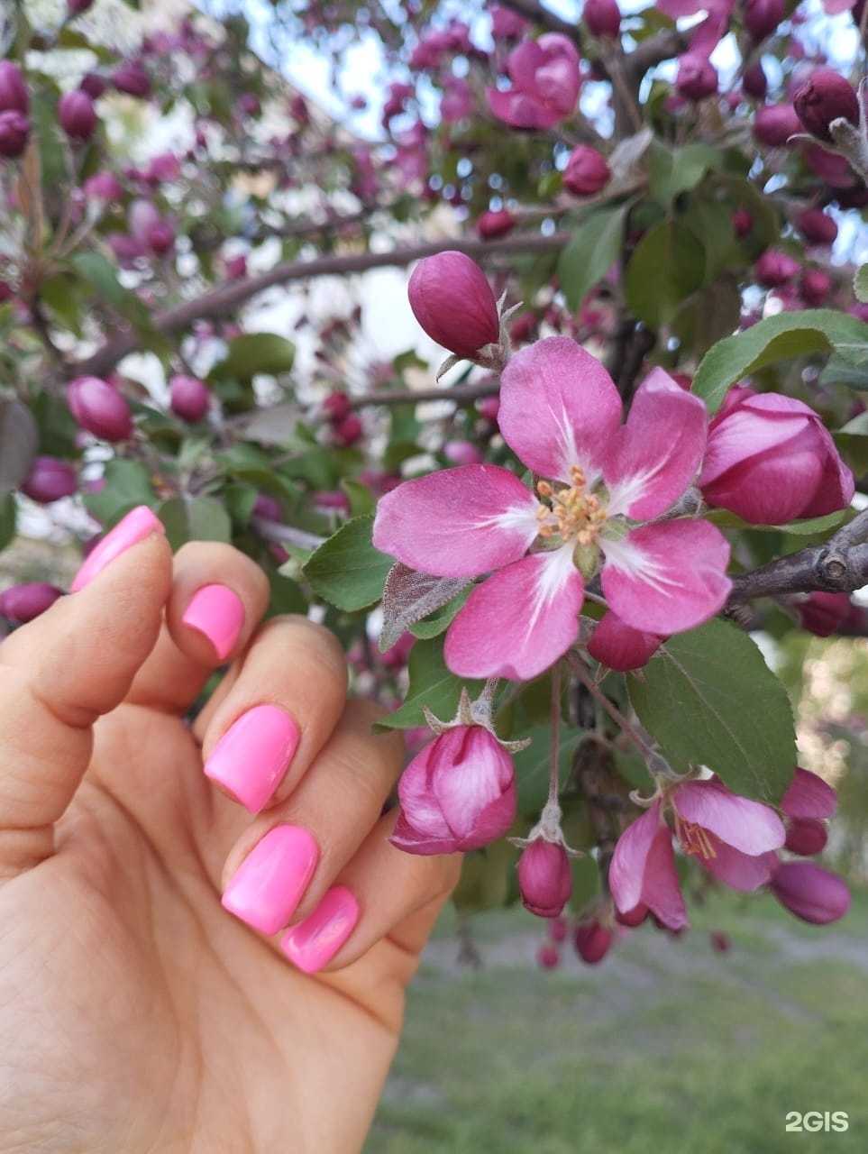 Отзывы на компанию Кабинет маникюра в Красноярске c фото