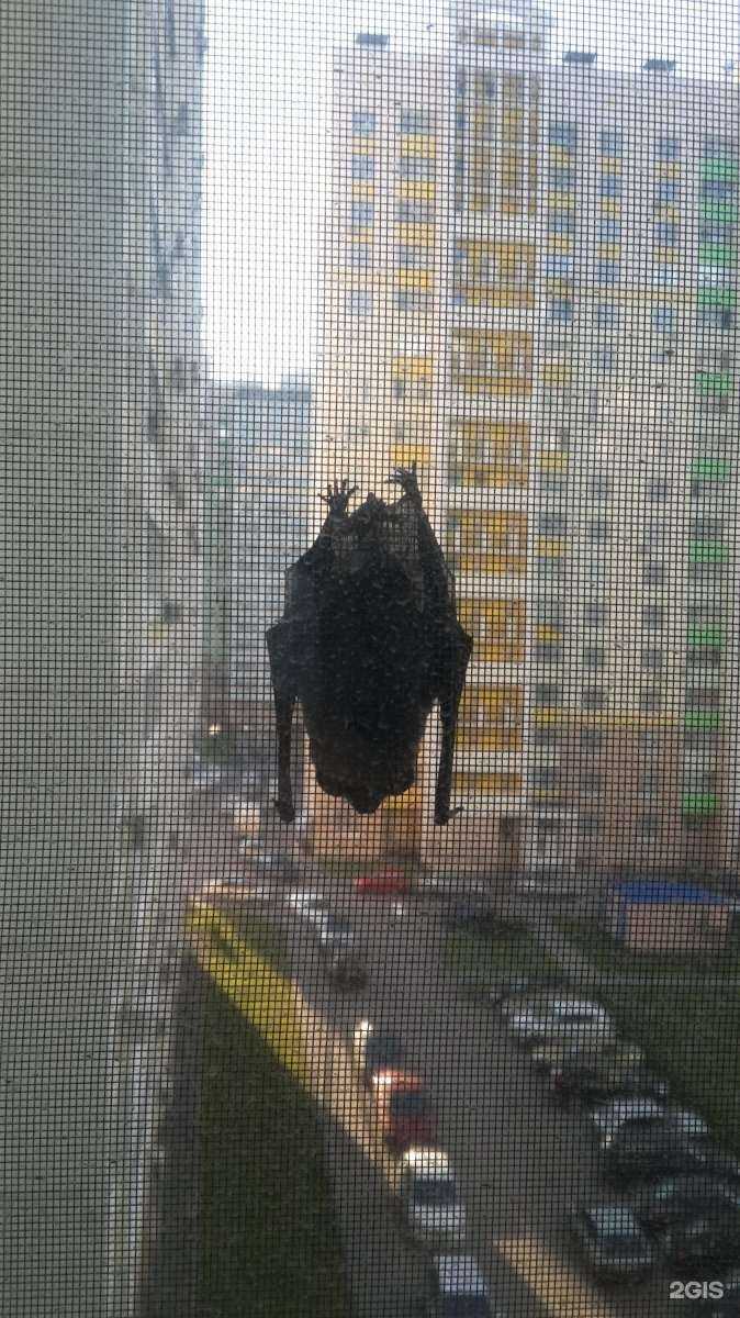 Отзывы на компанию Апекс плюс в Ростове-на-Дону c фото - фотография 2 из 2