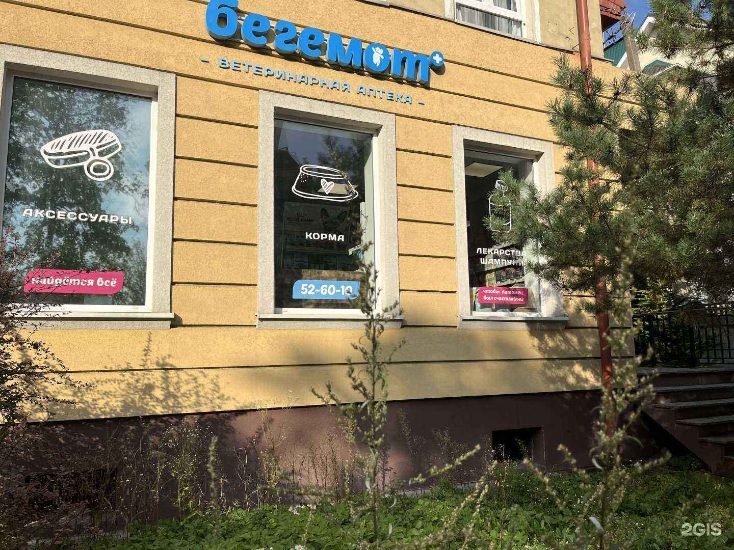 Отзывы на компанию Бегемот в Калининграде c фото