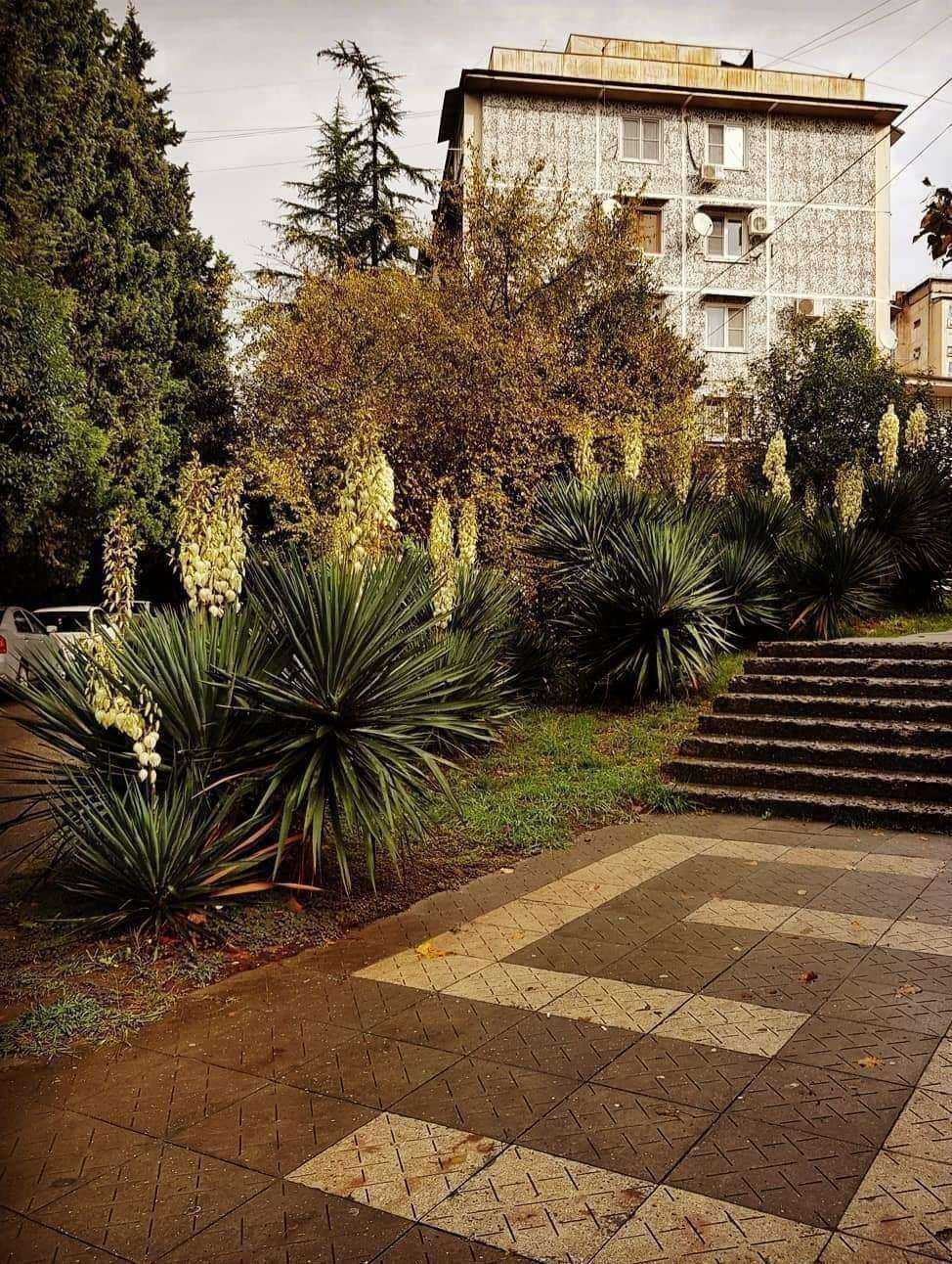 Отзывы на компанию Рось в Сочи c фото - фотография 2 из 2