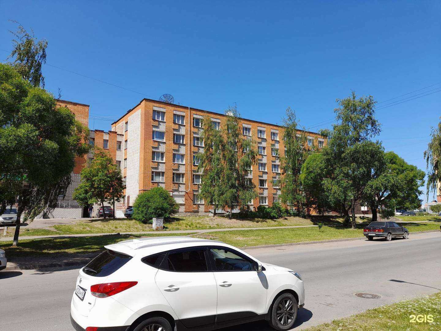 Отзывы на компанию Levita в г. Псков c фото