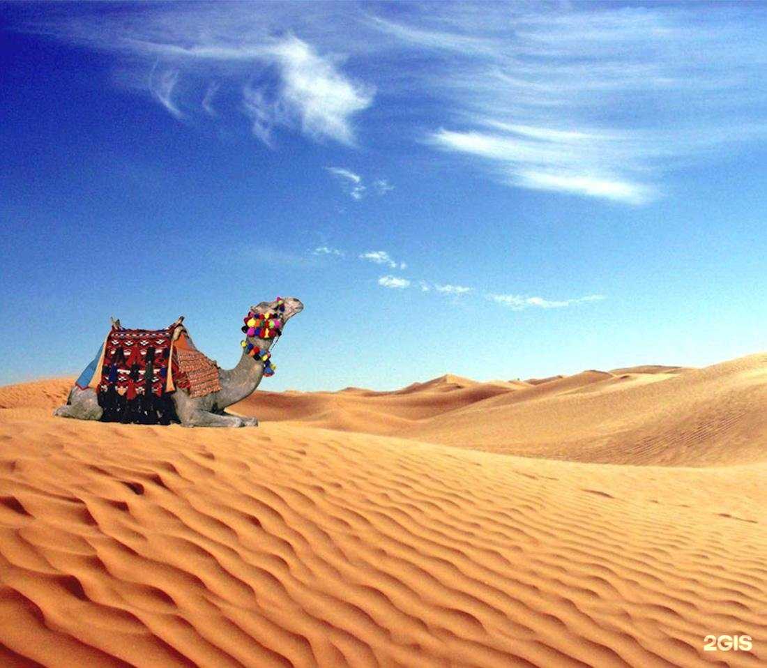 Отзывы на компанию Облдорснаб в г. Белгород c фото