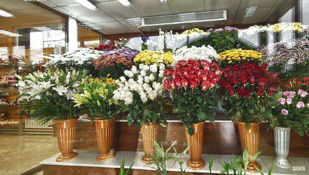 Отзывы на компанию Оазис в Чите c фото