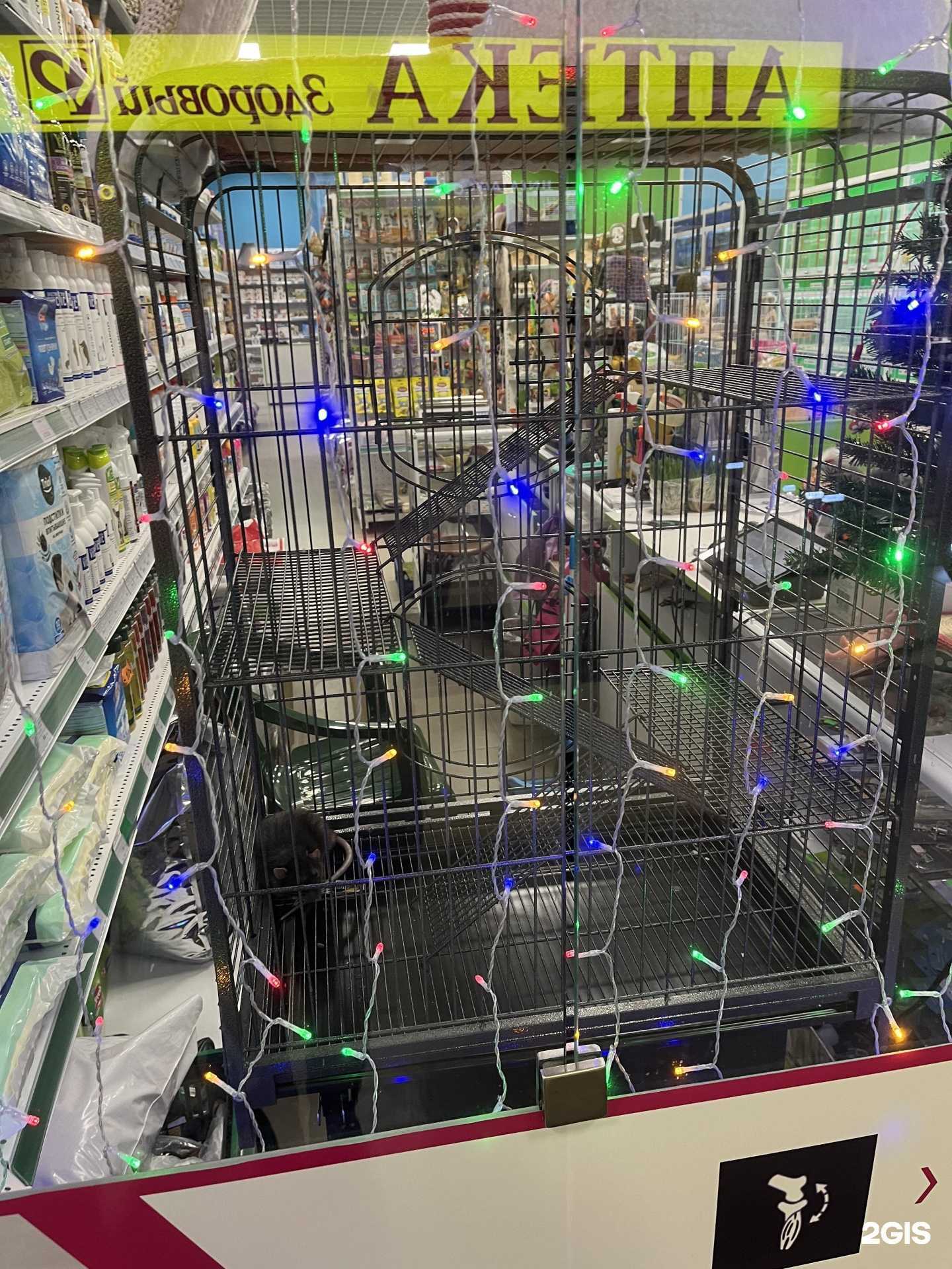 Отзывы на компанию Зоомикс в Воронеже c фото