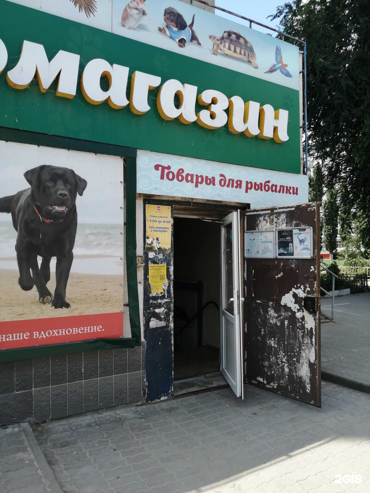 Отзывы на компанию Магазин зоотоваров в г. Волгоград c фото