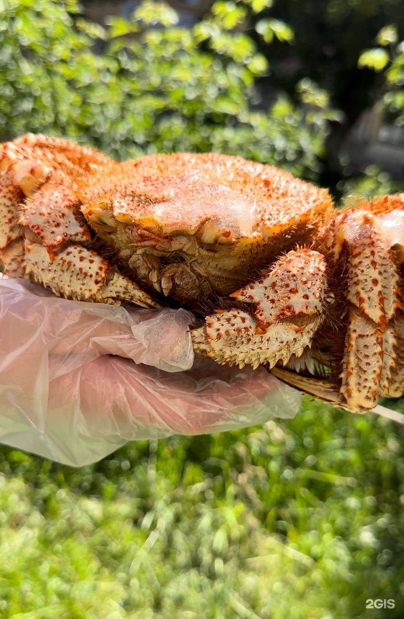 Отзывы на компанию Рыбный гастроном в Самаре c фото