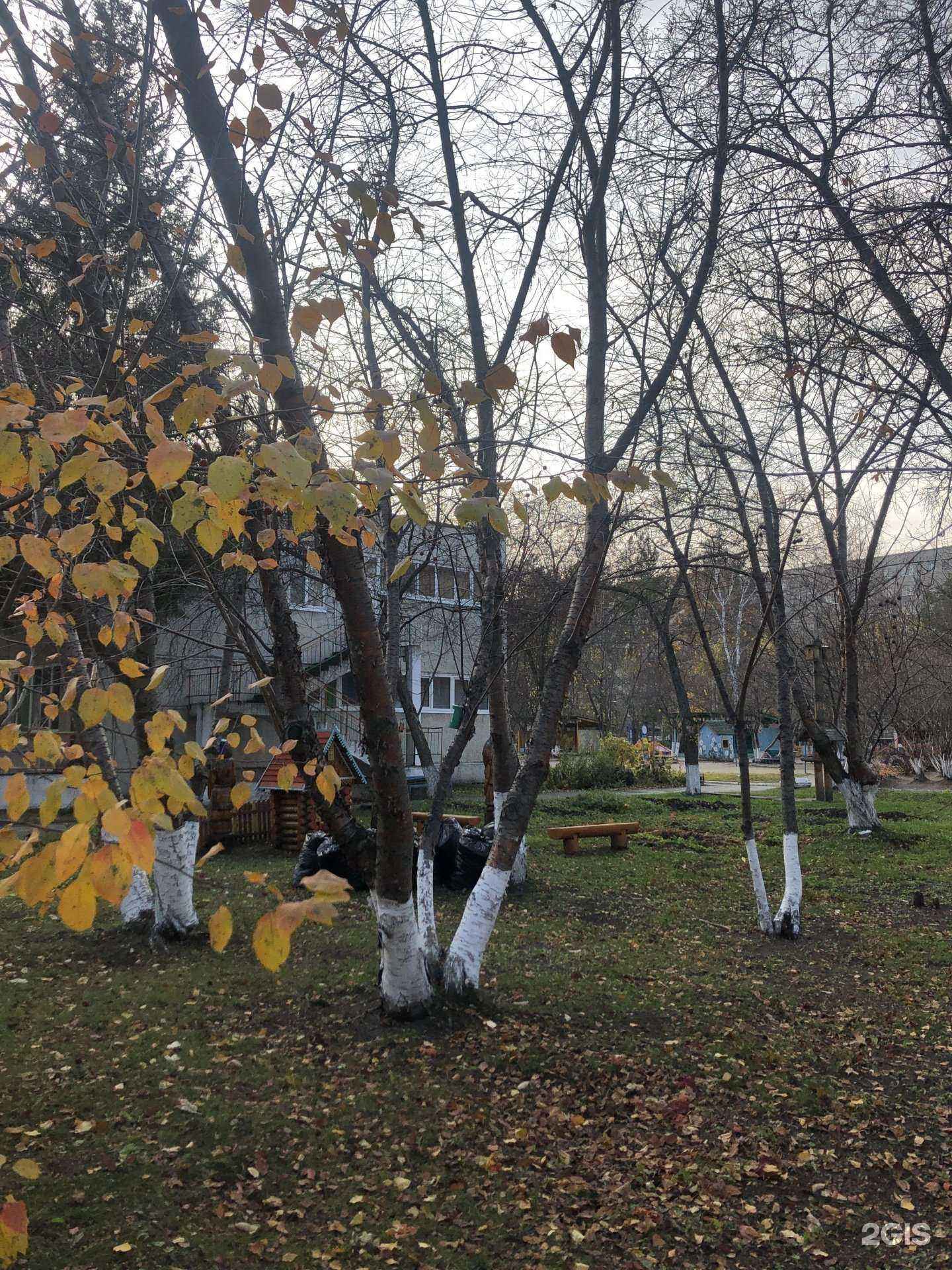 Отзывы на компанию Детский сад №553 в Екатеринбурге c фото