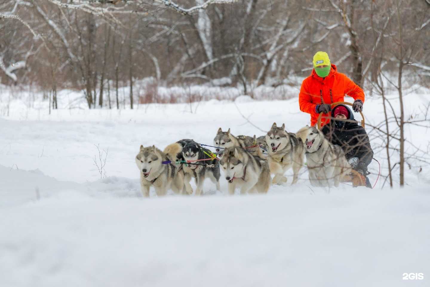 Отзывы на компанию North star в Новокузнецке c фото