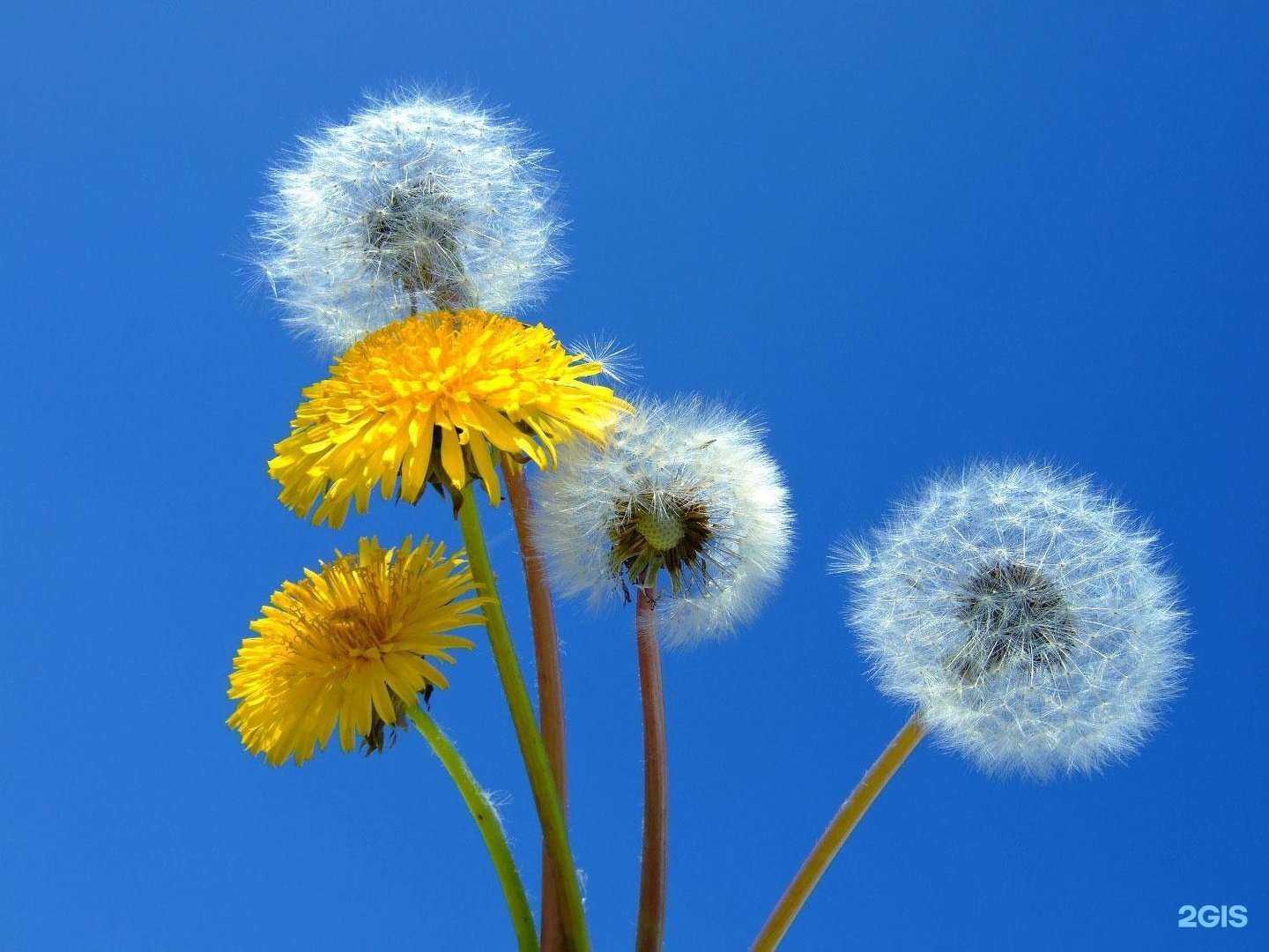 Отзывы на компанию Медхэлп в г. Нововоронеж c фото