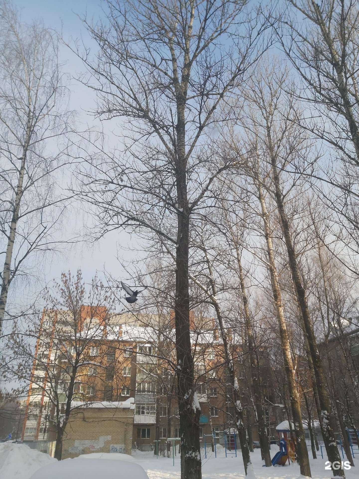 Отзывы на компанию Narine в Ярославле c фото - фотография 2 из 2