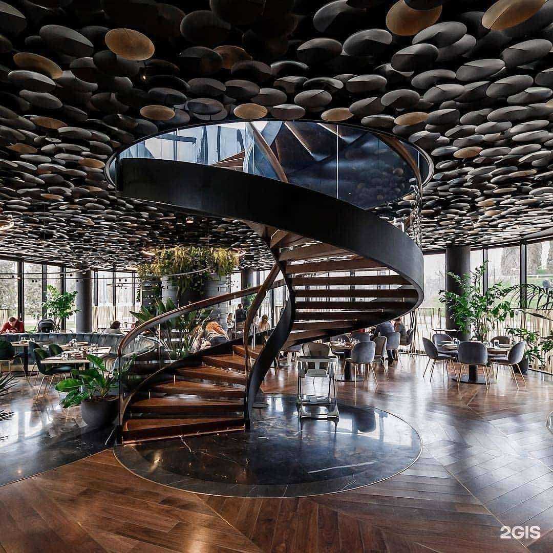 Отзывы на компанию Озелени в Краснодаре c фото