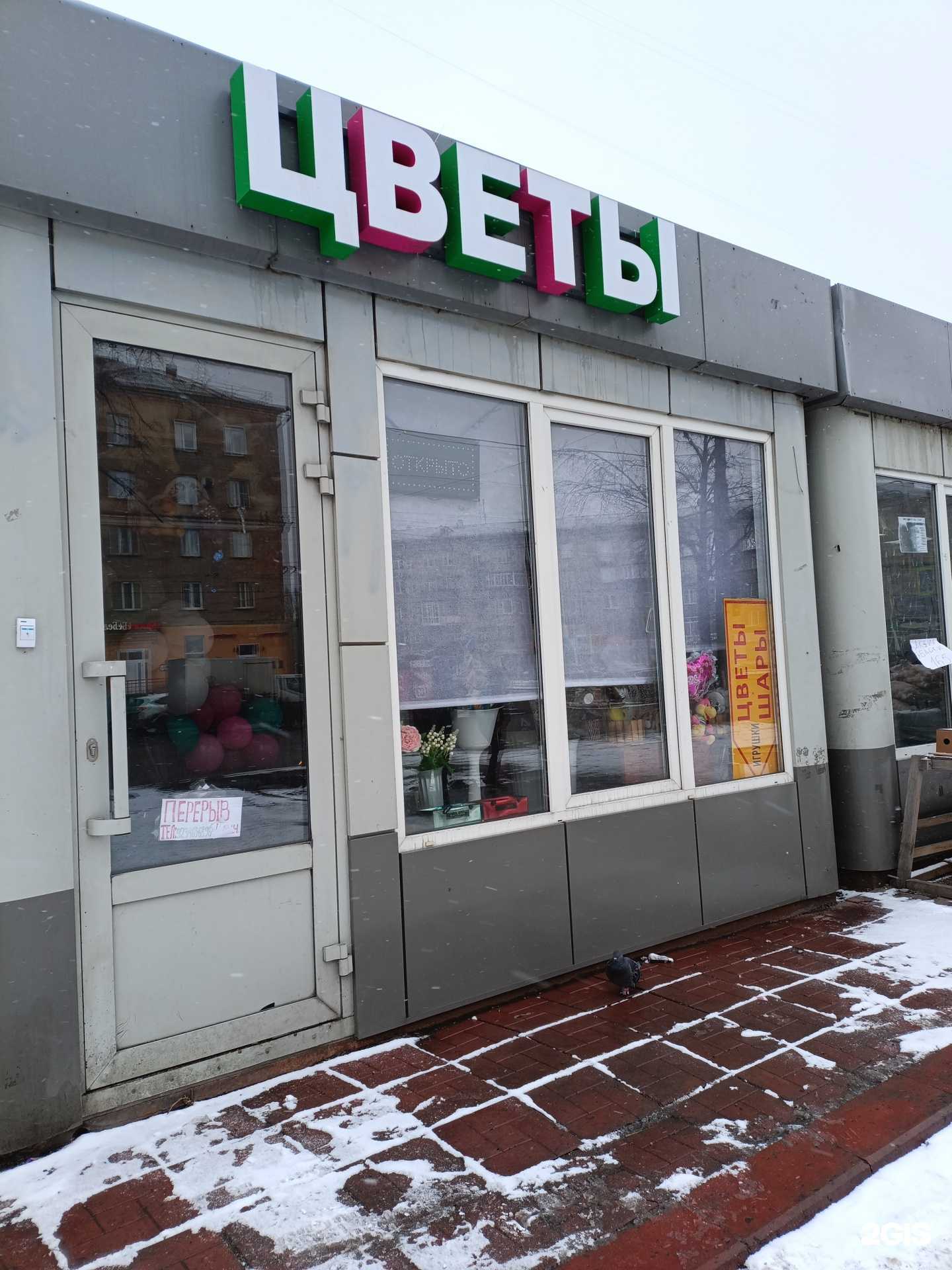 Отзывы на компанию Академия цветов в г. Новокузнецк c фото