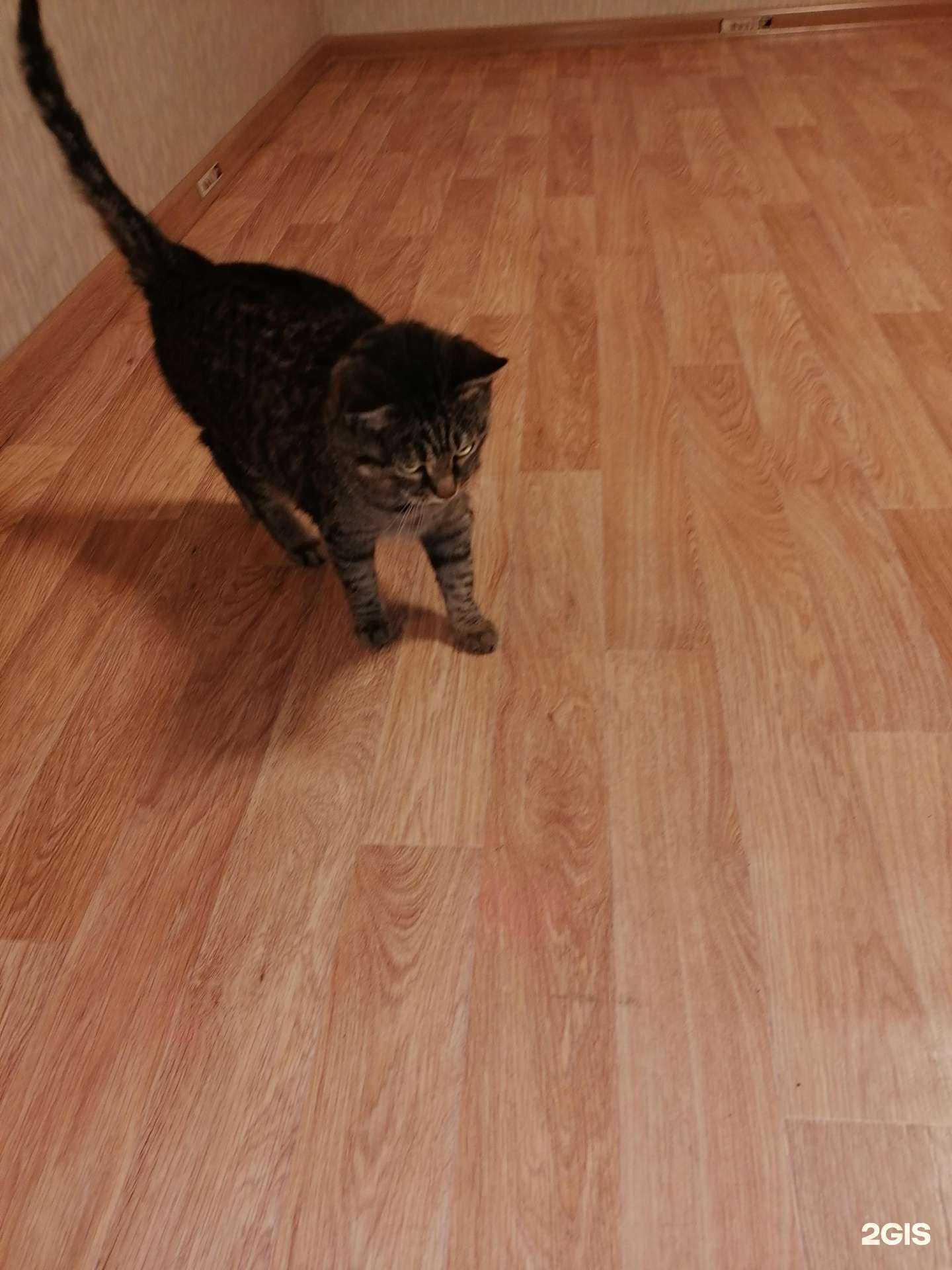 Отзывы на компанию Мастерская по ремонту обуви, сумок и чемоданов в Норильске c фото