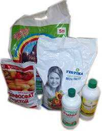 Отзывы на компанию Сибдача в Новокузнецке c фото