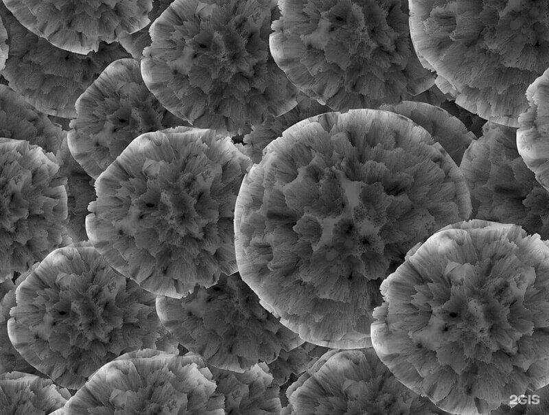 Отзывы на компанию Весавто в Балашихе c фото