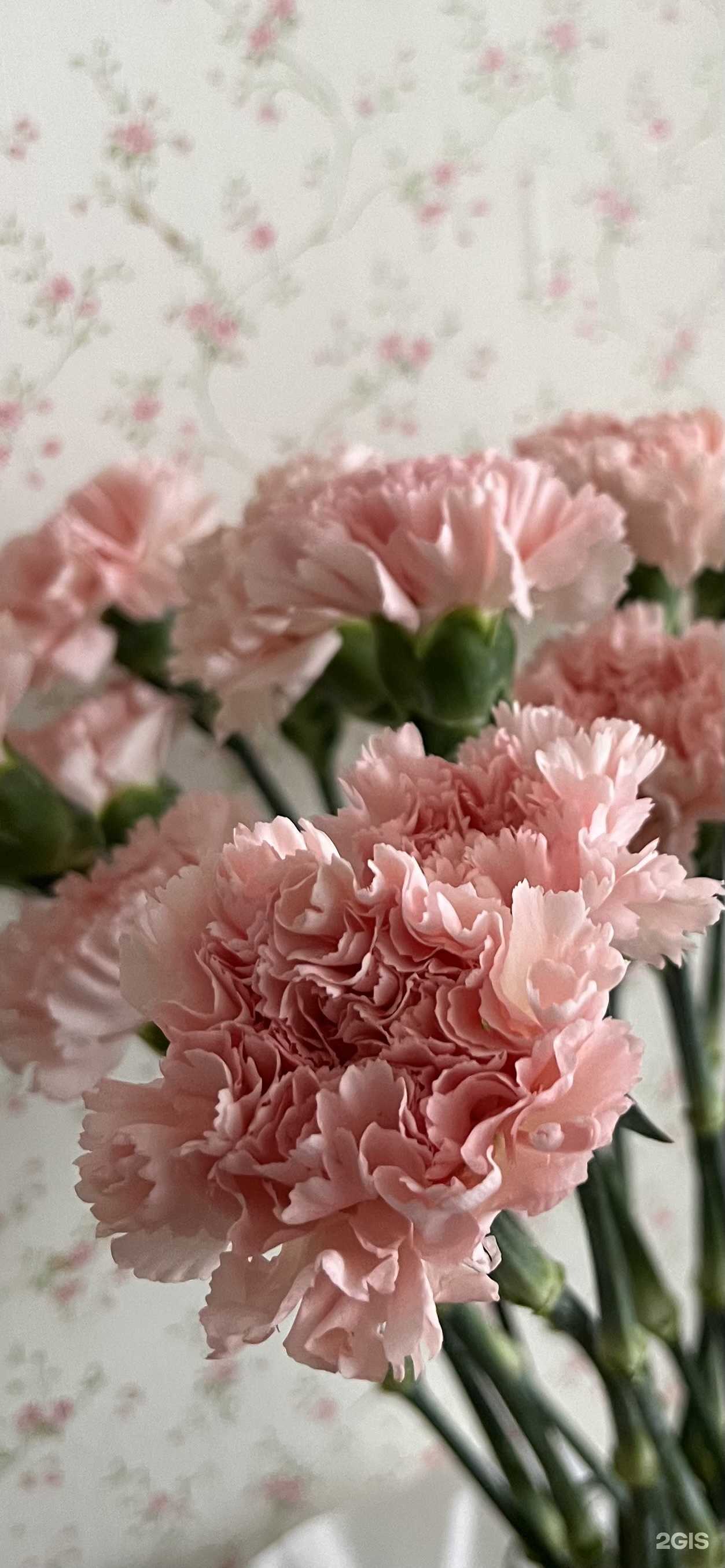 Отзывы на компанию Рускус в г. Октябрьский c фото