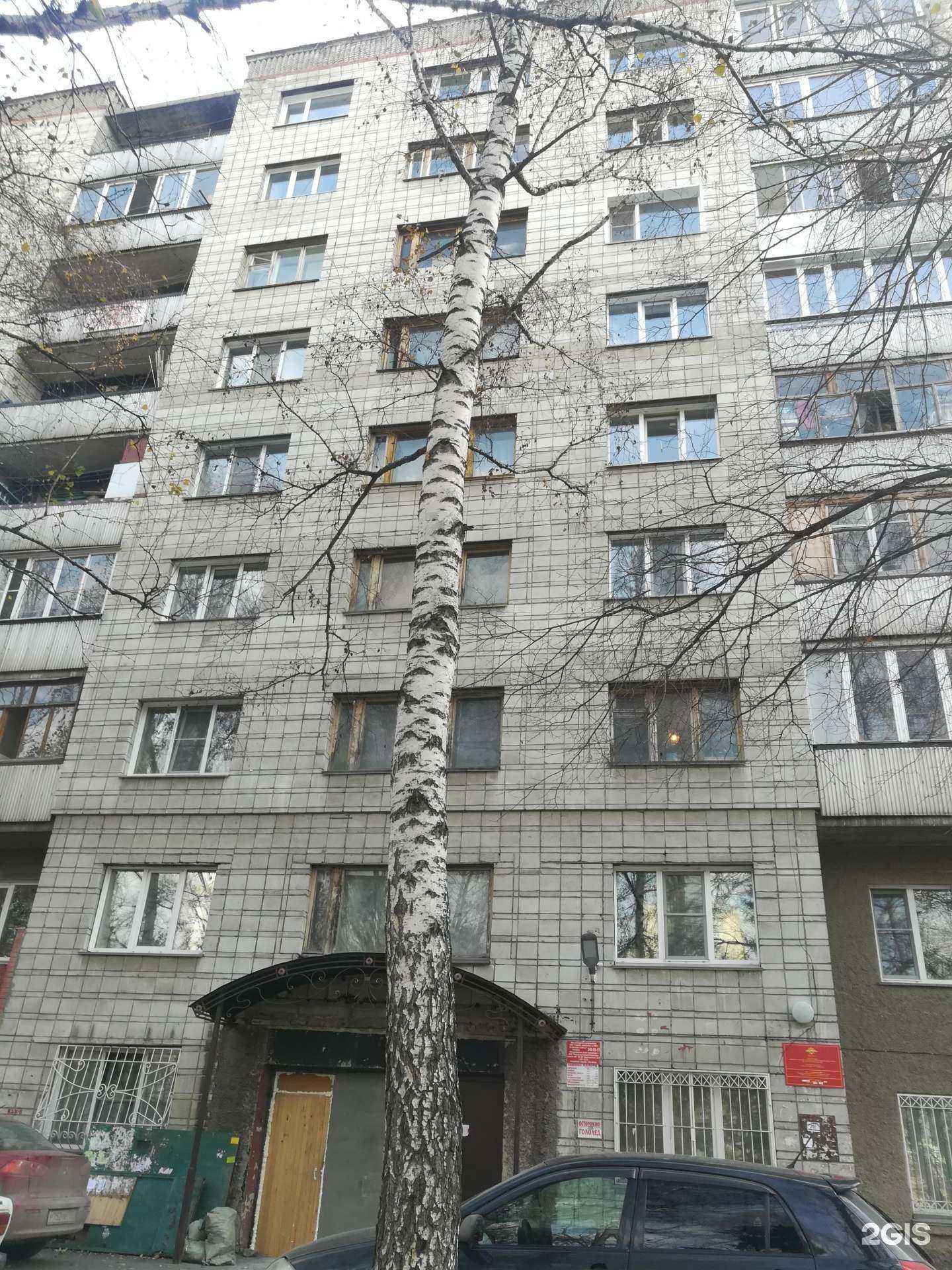 Отзывы на компанию Максивет в Новосибирске c фото - фотография 2 из 2