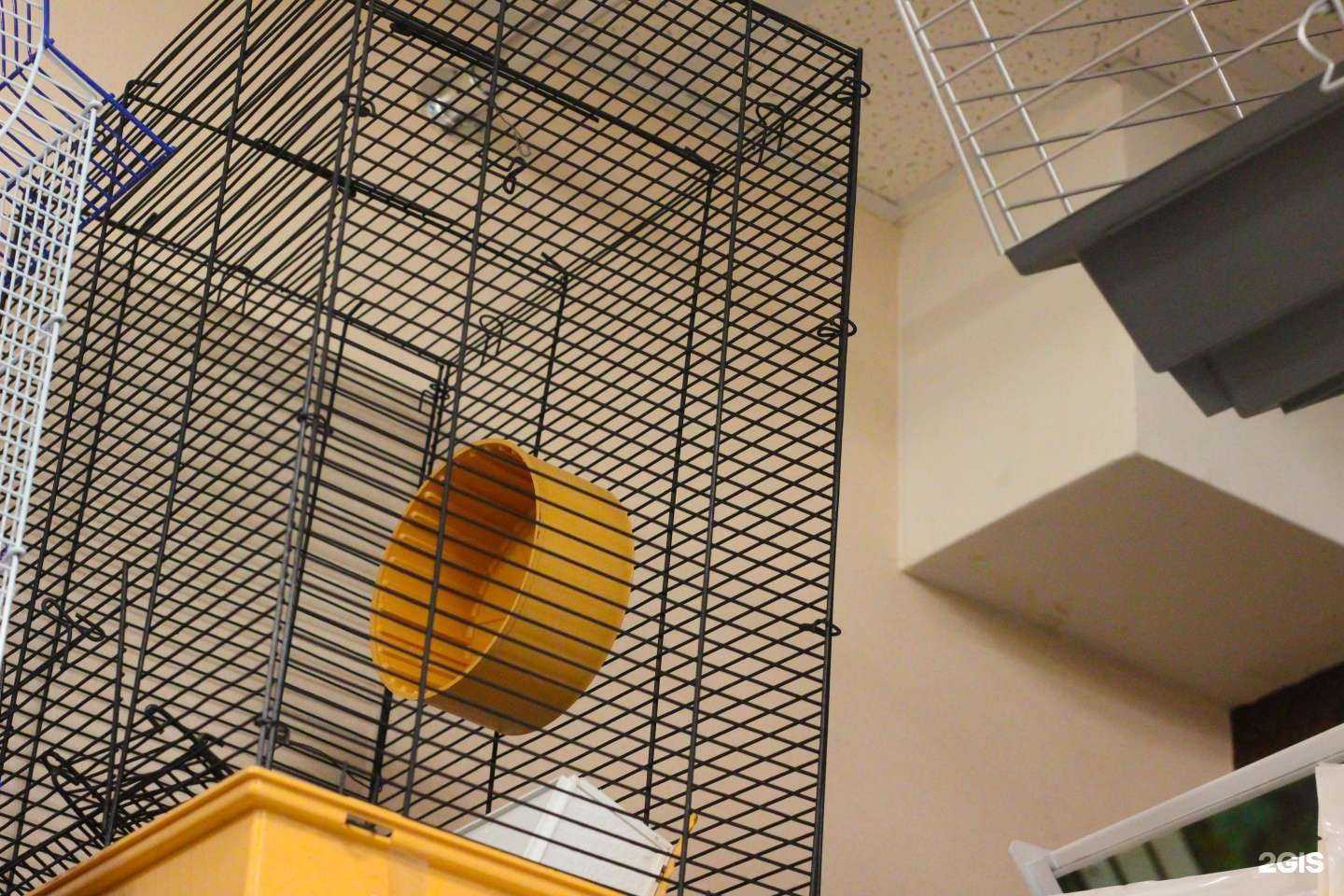 Отзывы на компанию Хвост в Томске c фото