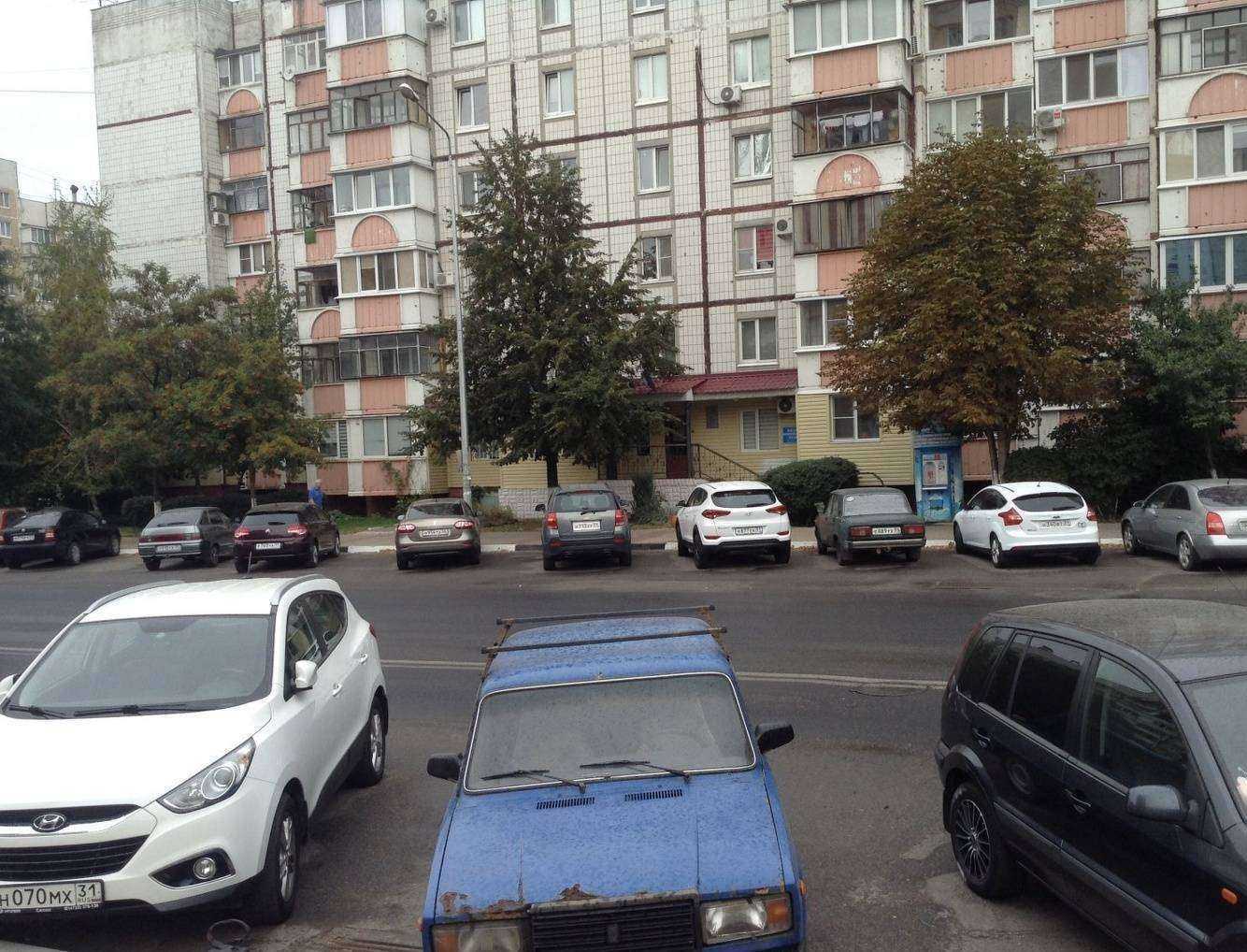 Отзывы на компанию Жу Шу в Белгороде c фото - фотография 2 из 2