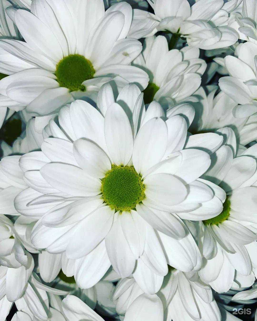 Отзывы на компанию Натали в Астрахани c фото