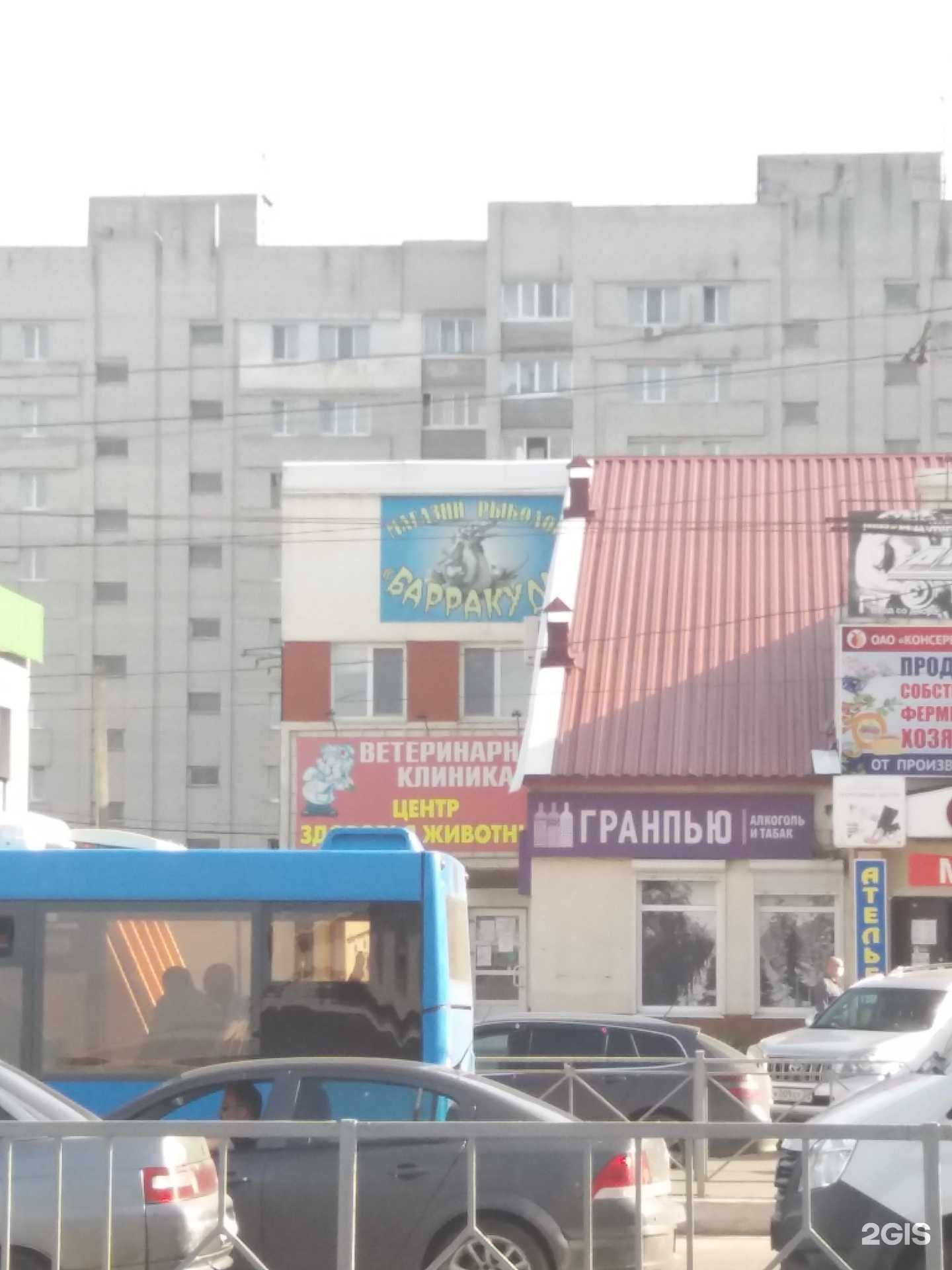 Отзывы на компанию Центр здоровья животных в Брянске c фото