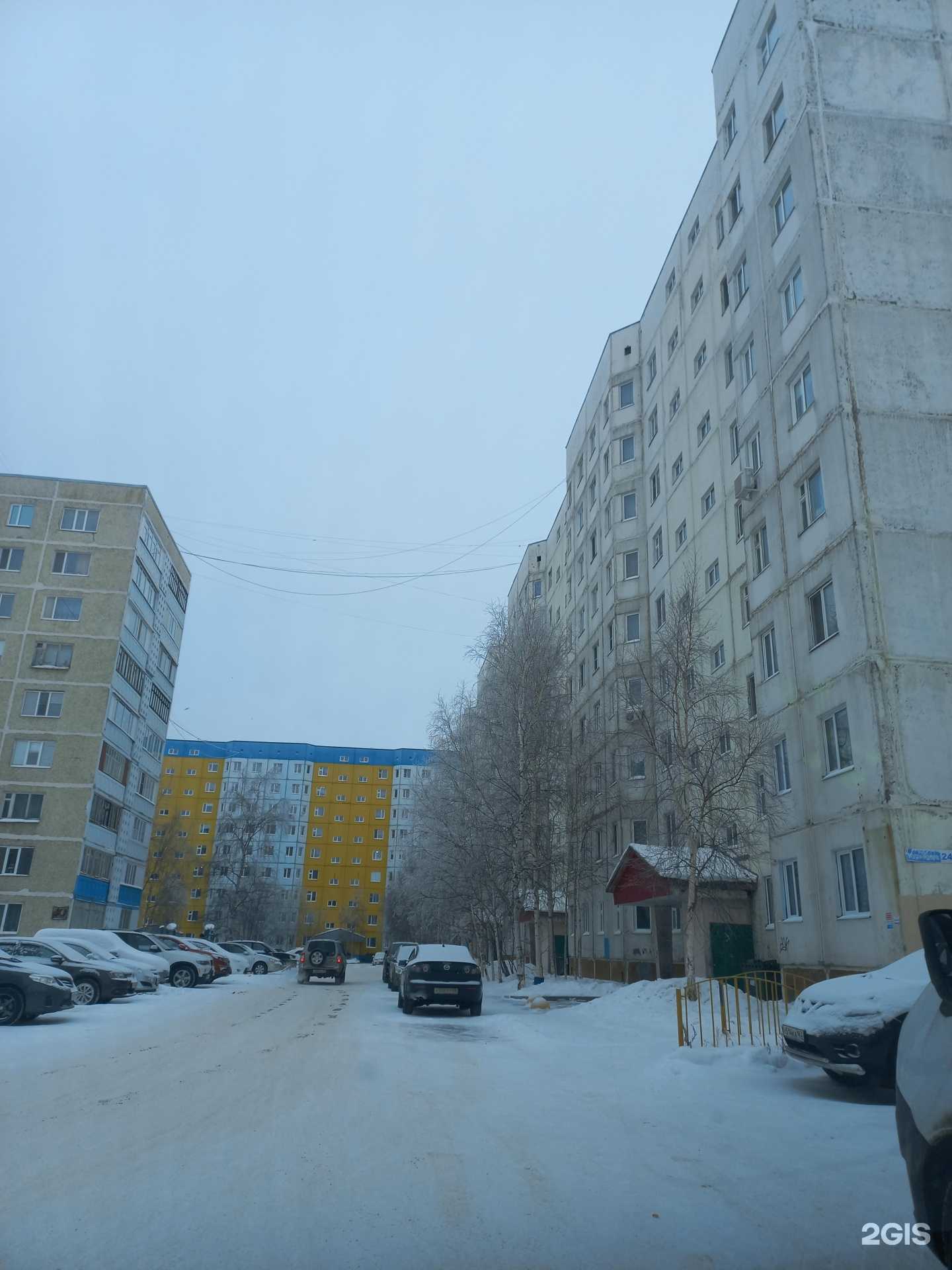 Отзывы на компанию Алиса в Мегионе c фото - фотография 2 из 2